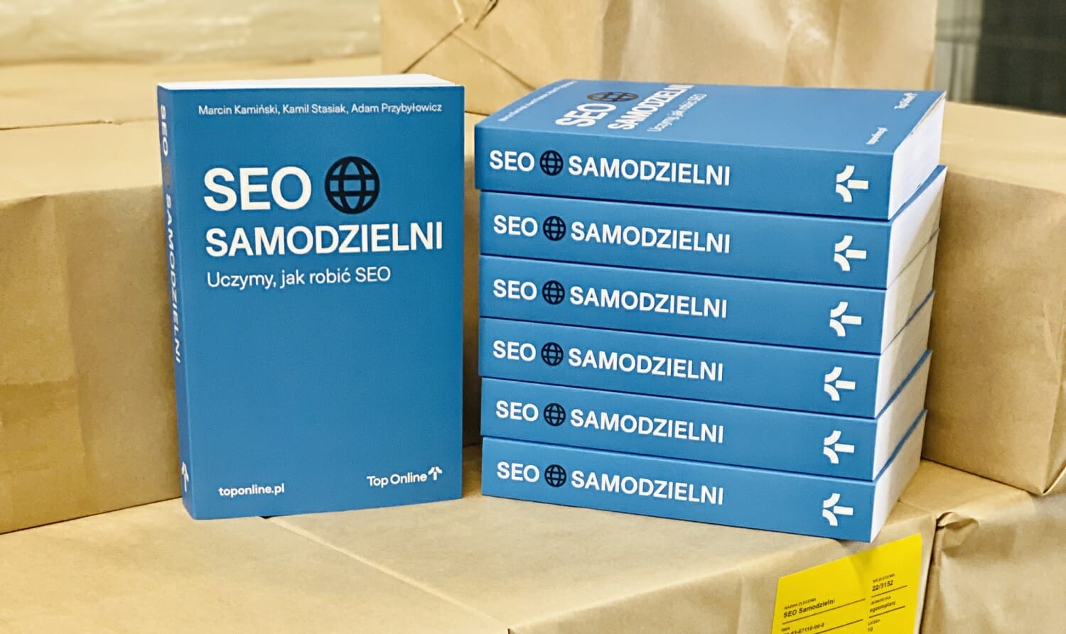 Seo samodzielni ksiazka